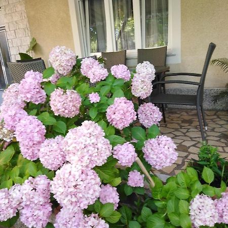 Apartman Paulina Appartement Selce Buitenkant foto