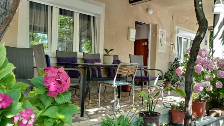 Apartman Paulina Appartement Selce Buitenkant foto