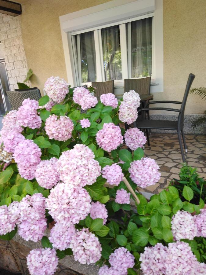 Apartman Paulina Appartement Selce Buitenkant foto